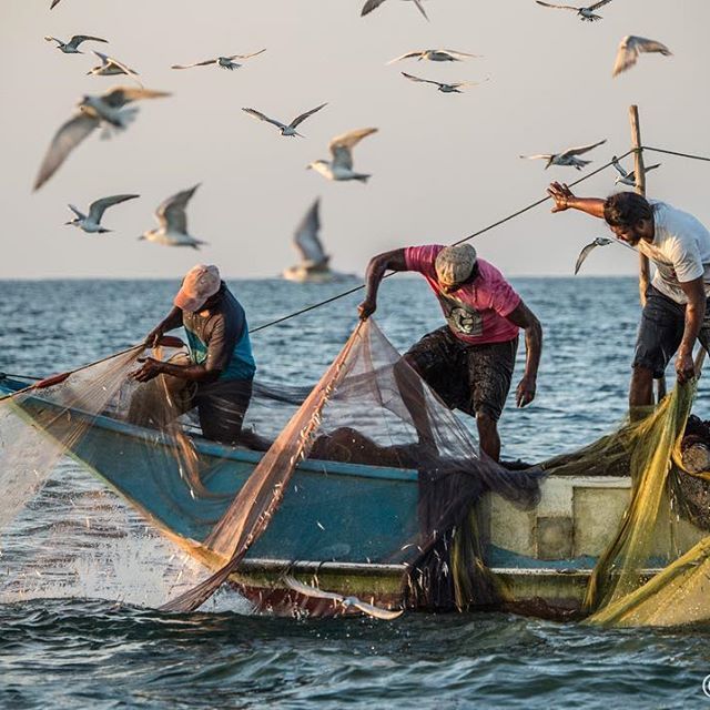 Fishing Harbour